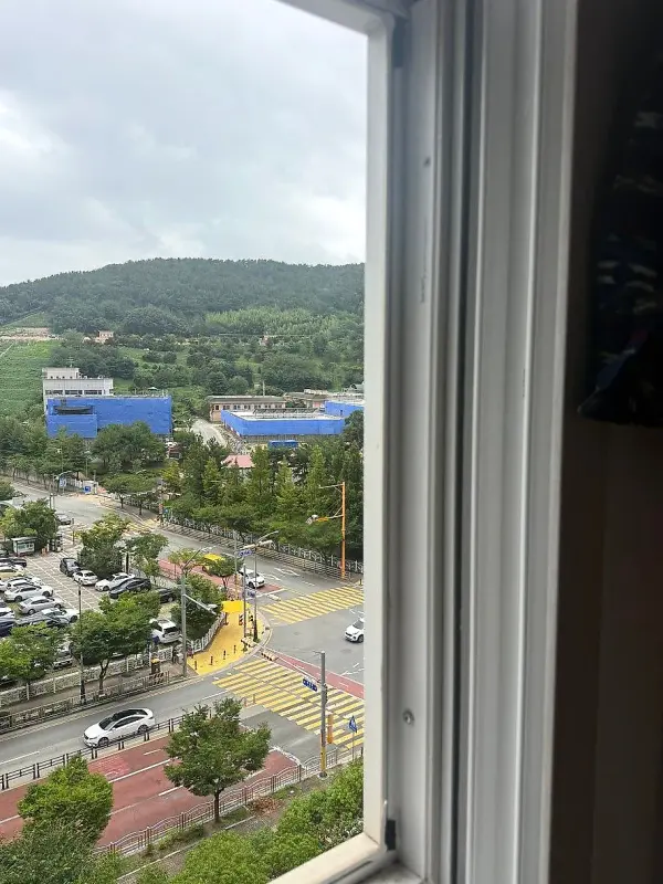 유리를 빼낸 샷시 프레임 너머로 보이는 바깥 도로