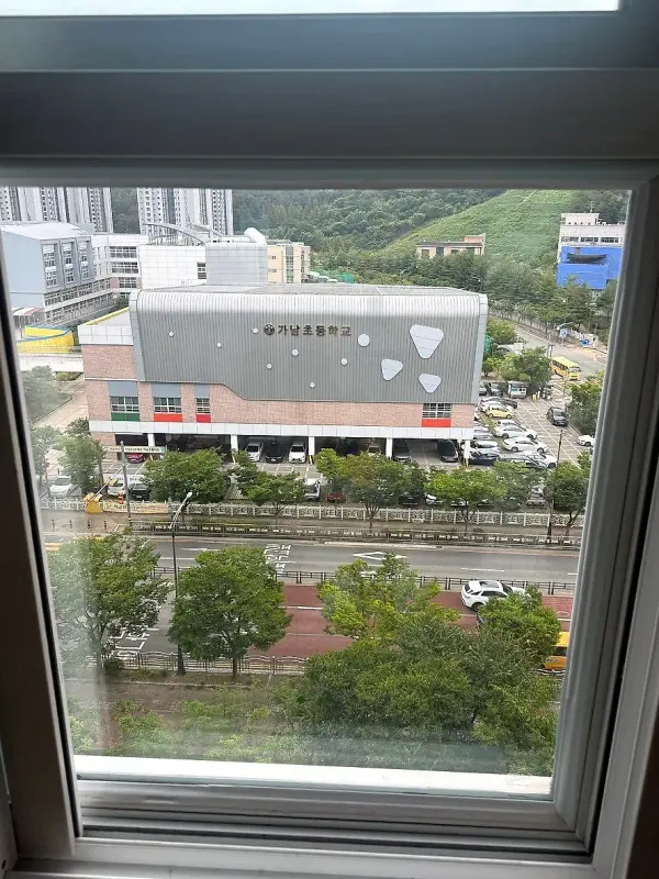 새 유리가 끼워진 창짝 너머로 보이는 건물과 가로수